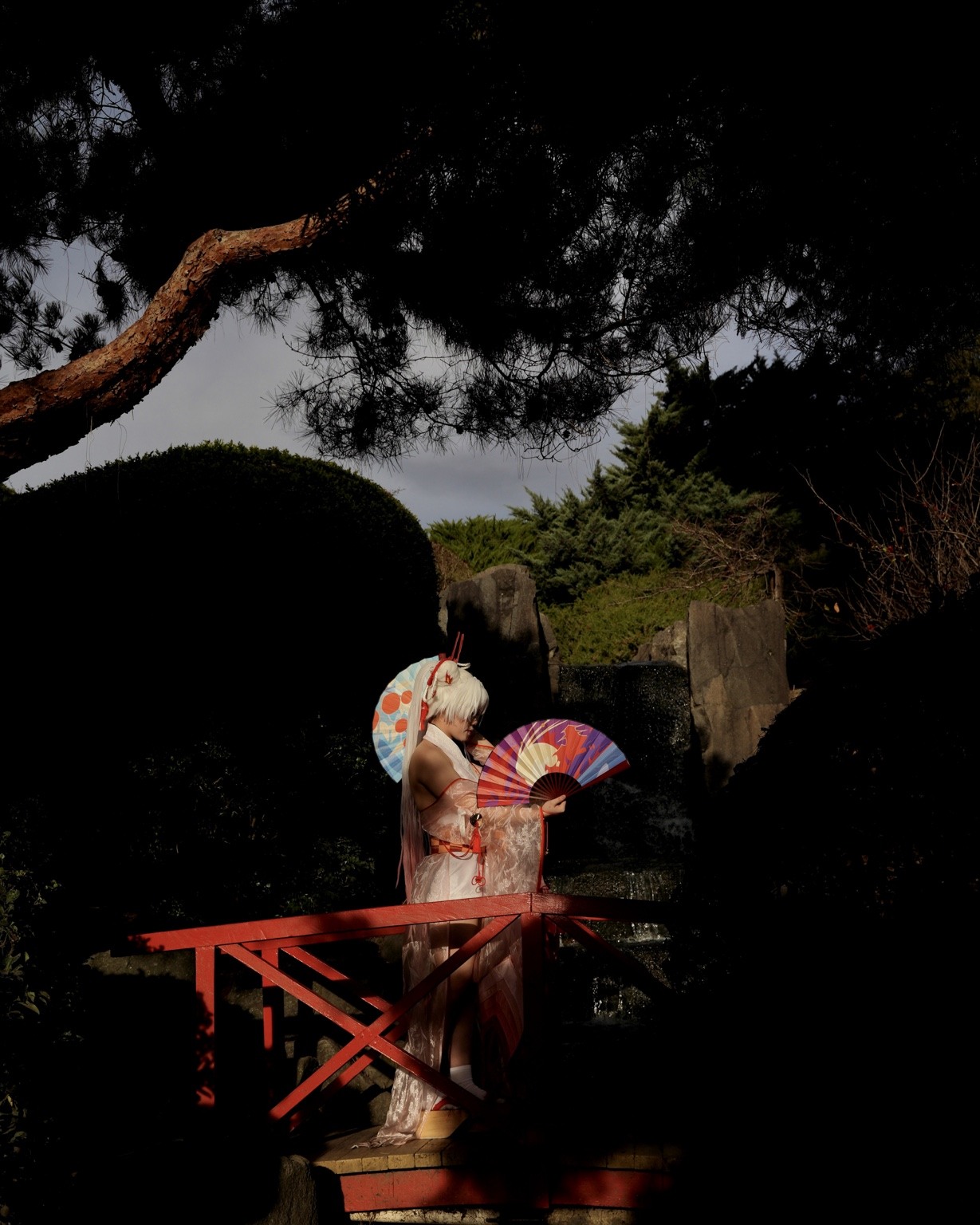 Dark environmental creative portrait framed beneath trees on a red bridge
